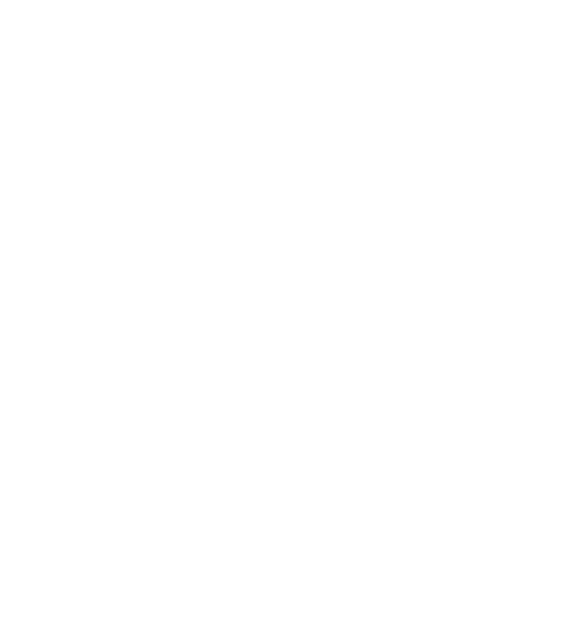 logo vertical côte de lumière automobiles en blanc